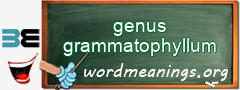 WordMeaning blackboard for genus grammatophyllum